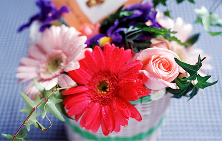 blommor