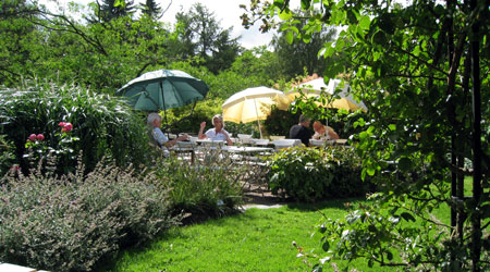göteborgs botaniska trädgård
