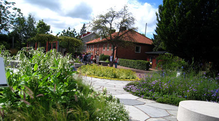 göteborgs botaniska trädgård