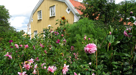 göteborgs botaniska trädgård