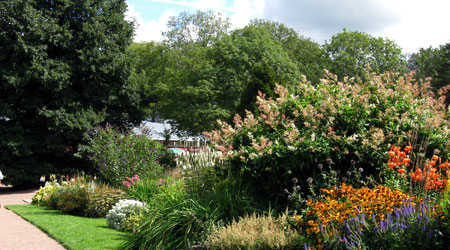 göteborgs botaniska trädgård